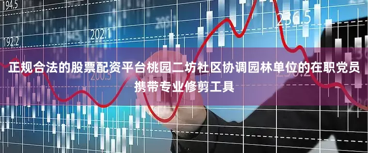 正规合法的股票配资平台桃园二坊社区协调园林单位的在职党员携带专业修剪工具