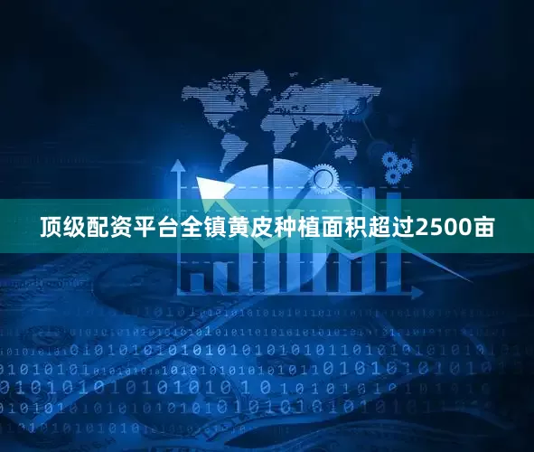 顶级配资平台全镇黄皮种植面积超过2500亩