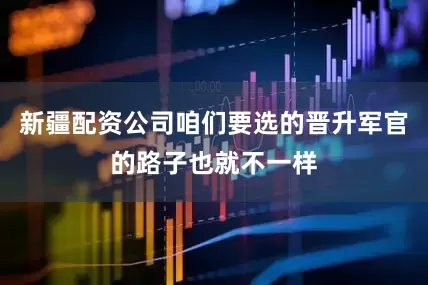 新疆配资公司咱们要选的晋升军官的路子也就不一样